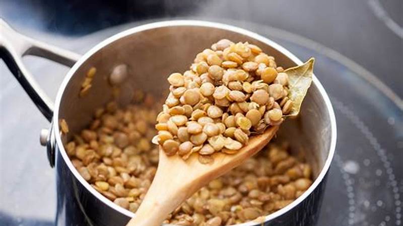Cook Perfect Brown Lentils with Ease | Cafe Impact
