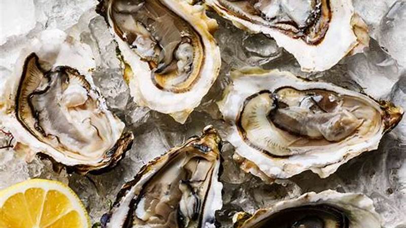 Discover the Art of Cooking Oyster: Essential Tips and Techniques | Cafe Impact