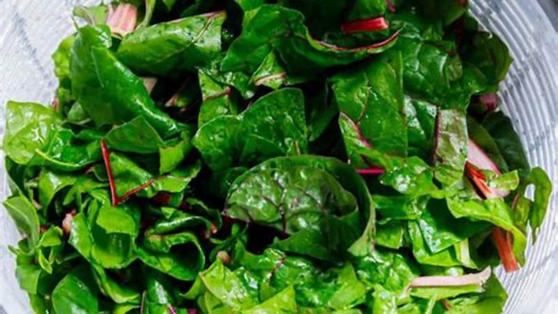 A Deliciously Simple Way to Cook Chard | Cafe Impact