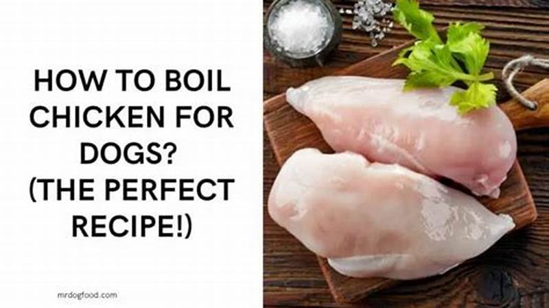 Simple and Healthy Chicken Recipes for Dogs | Cafe Impact