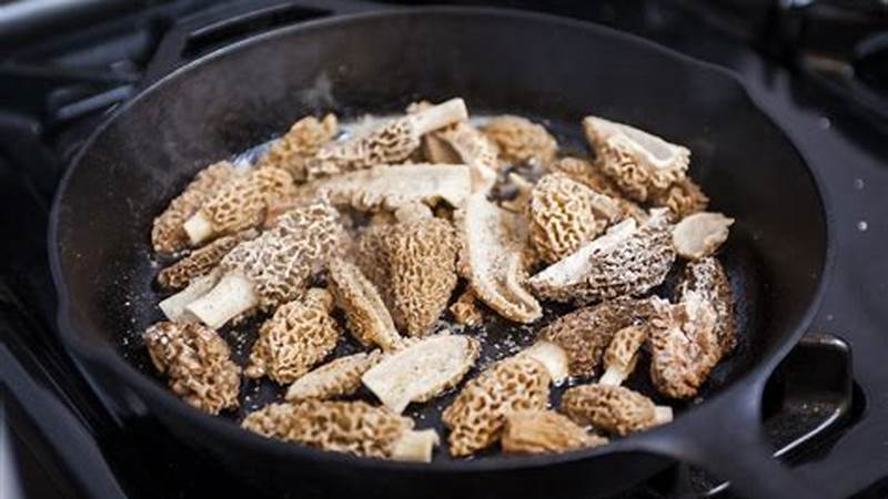 Cook Morel Mushrooms for a Gourmet Delight | Cafe Impact