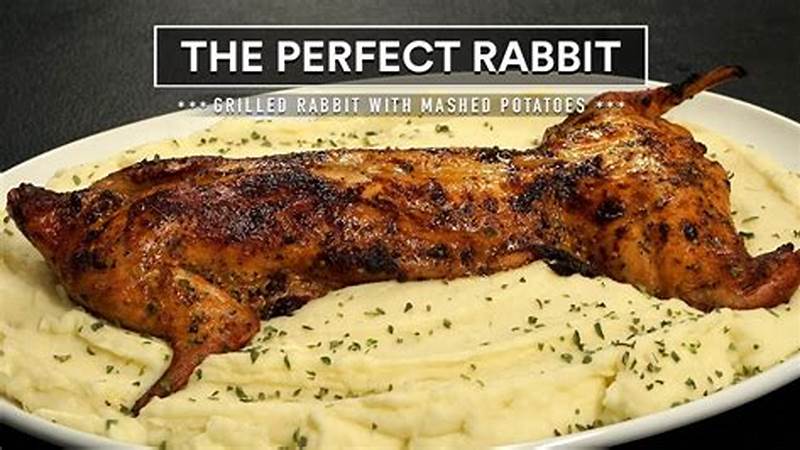Master the Art of Cooking Delicious Rabbits | Cafe Impact