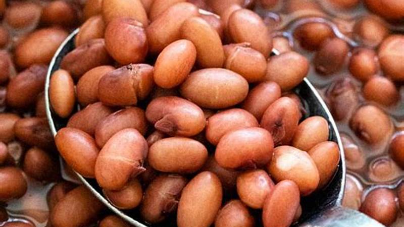 Master the Art of Cooking Soaked Beans | Cafe Impact