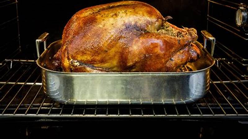 Master the Art of Oven Cooking with Turkey Recipes | Cafe Impact