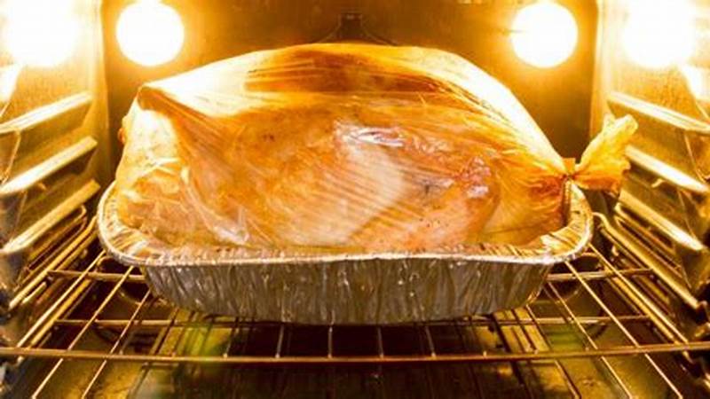The Foolproof Method to Cook a 20-Pound Turkey | Cafe Impact