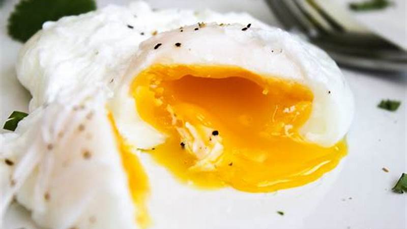 Master the Art of Poaching Eggs Like a Pro | Cafe Impact