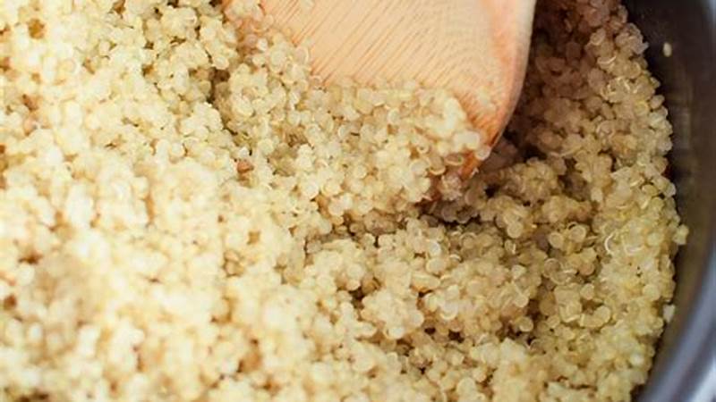 Master the Art of Cooking Quinoa Like a Pro | Cafe Impact
