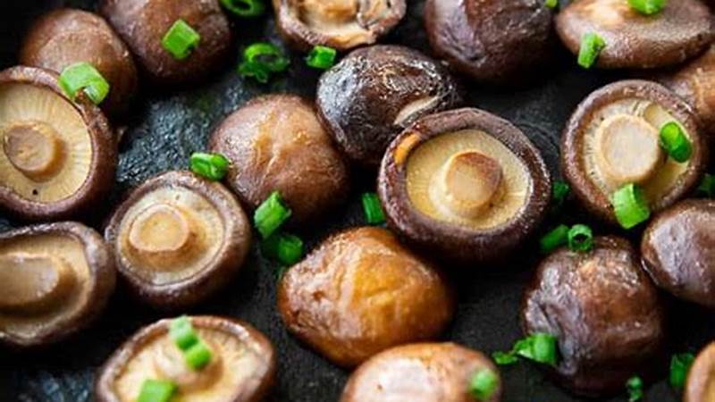 Master the Art of Cooking Shiitake Mushrooms | Cafe Impact