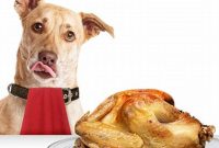 Cooking Turkey for Dogs: A Complete Guide | Cafe Impact