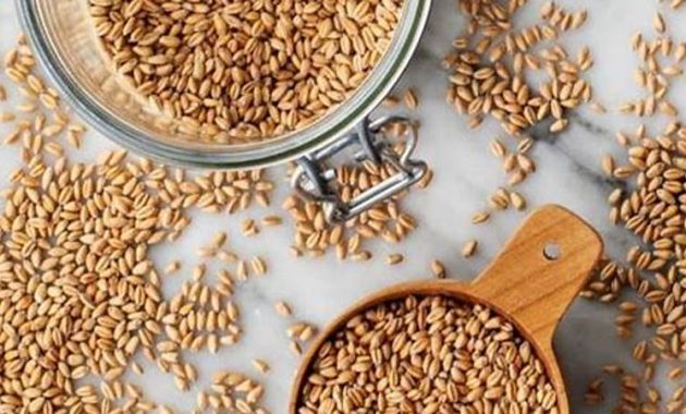 Master the Art of Cooking Wheatberries | Cafe Impact